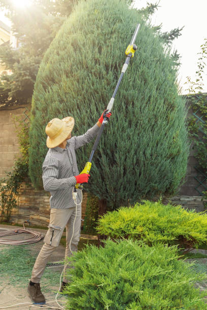 Best Commercial Tree Services  in Sultan, WA